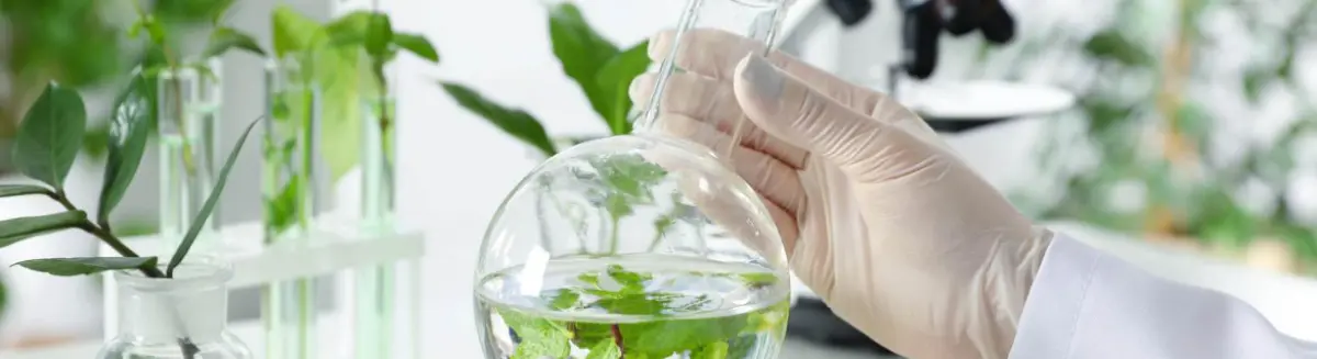 IFR PAN z prestiżowym wyróżnieniem Logo HR Excellence in Research